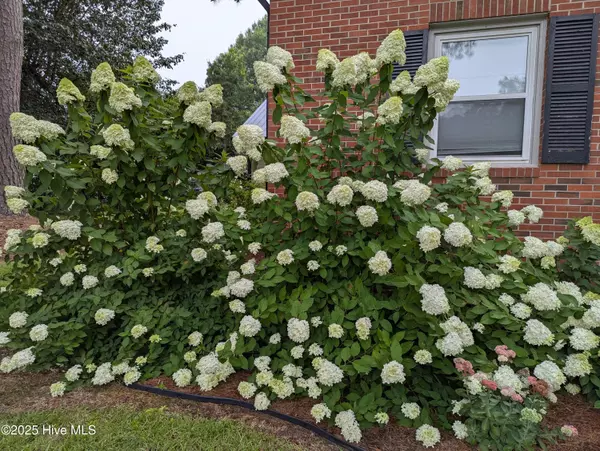 Spring Hope, NC 27882,215 E Branch ST E