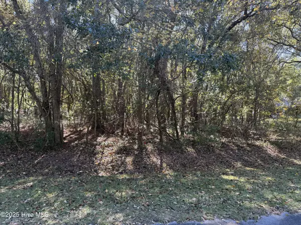 New Bern, NC 28560,902 Firefly CT