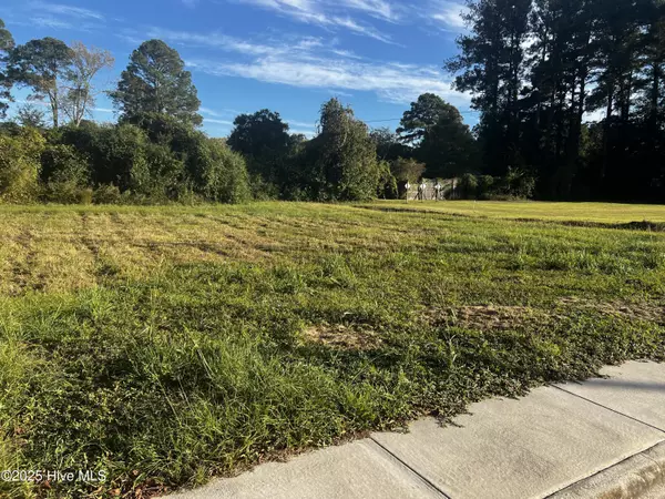 1203 Van Norden ST, Washington, NC 27889