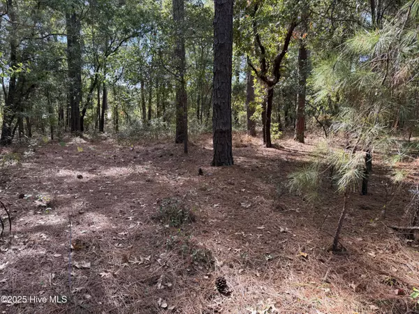Dudley, NC 28333,Lot 47 Ward DR