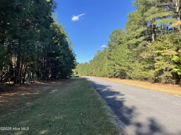 Hertford, NC 27944,Lot 10 Bethel Creek LN
