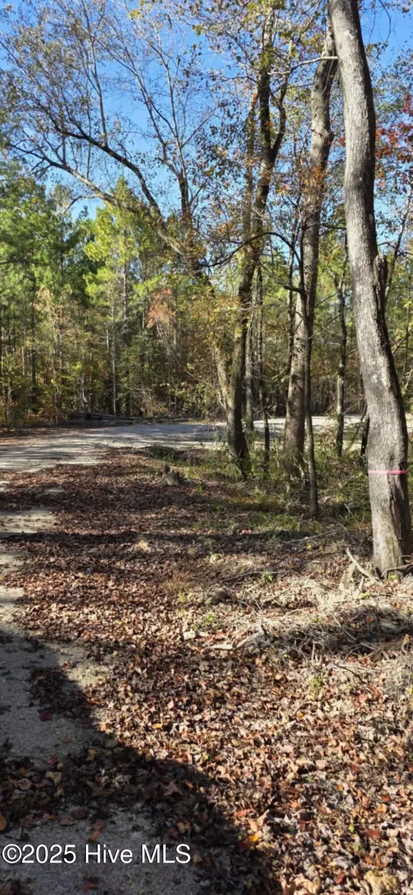 Cameron, NC 28326,2 Cameron Hill RD