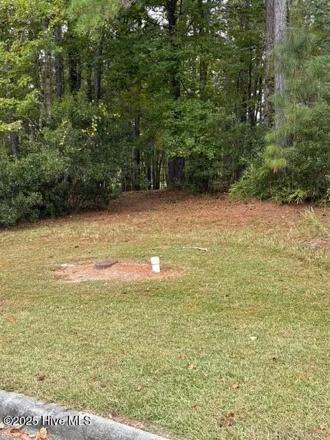 New Bern, NC 28562,3808 Lichen LN