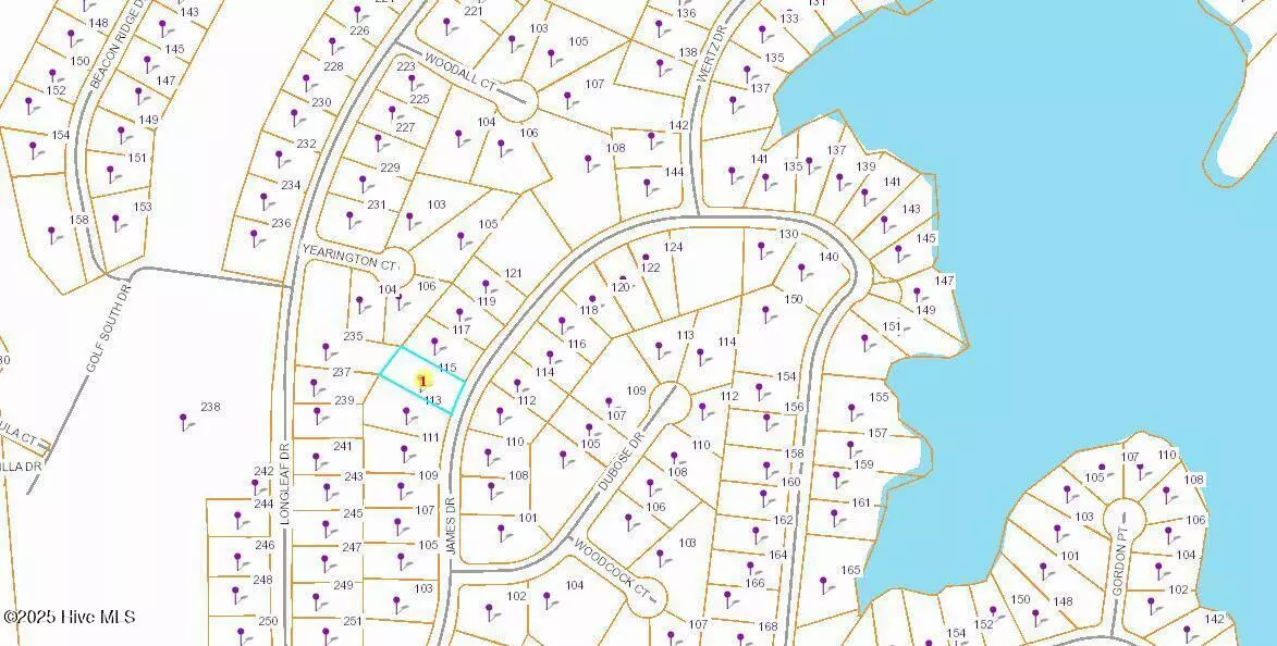 West End, NC 27376,115 James DR