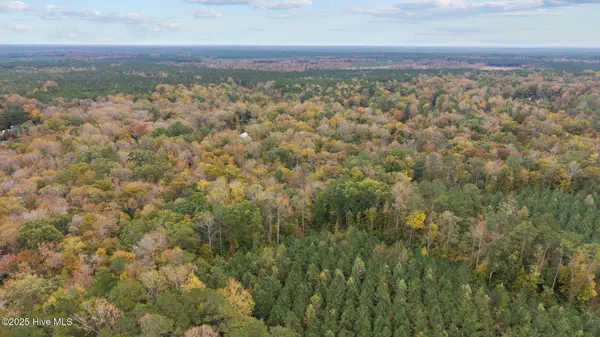 Pollocksville, NC 28573,164 Forest Glen LN