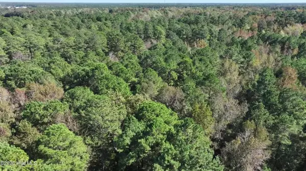 Riegelwood, NC 28456,1 Ac. Money Hole RD