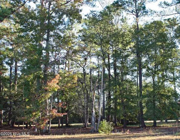 Ocean Isle Beach, NC 28469,598 Lindgrove PL SW