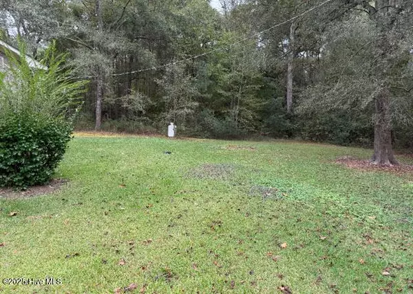 Teachey, NC 28464,639 Cornwallis RD