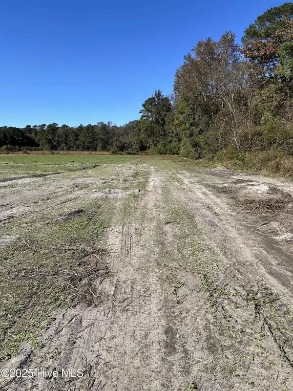 Wallace, NC 28466,3 Hc Powers Road