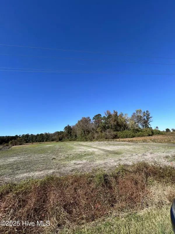 Wallace, NC 28466,5 Hc Powers Road