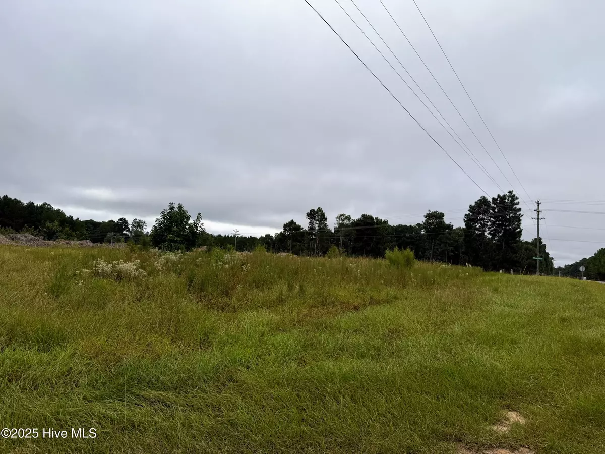 West End, NC 27376,Lot 4 Doubs Chapel RD