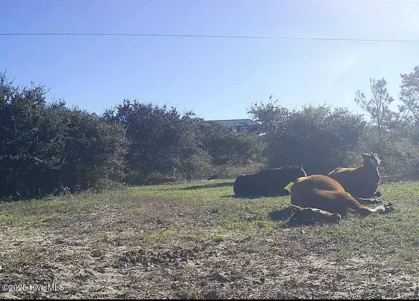 Corolla, NC 27927,2126 Sandpiper RD