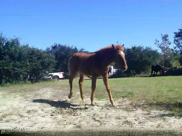 Corolla, NC 27927,2126 Sandpiper RD