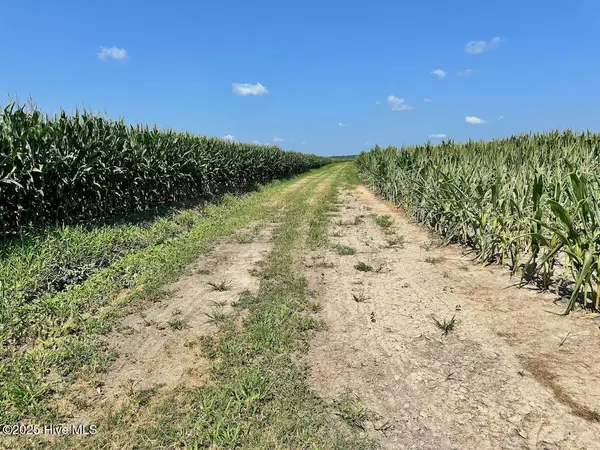 Corapeake, NC 27926,108 Savage RD