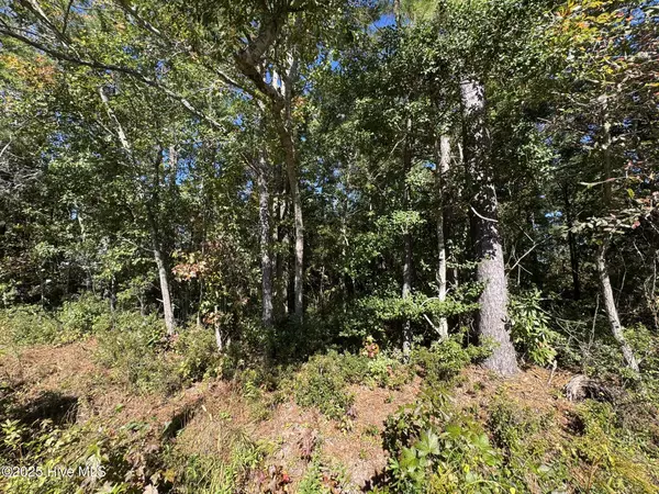 Hampstead, NC 28443,316 Masters LN