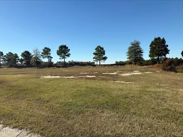 Snow Hill, NC 28580,136 Pinewood CV