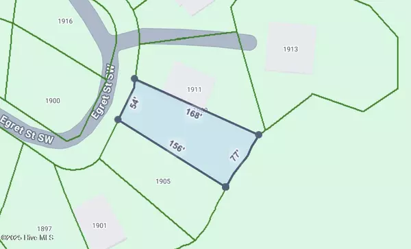 Shallotte, NC 28470,1909 Egret ST SW