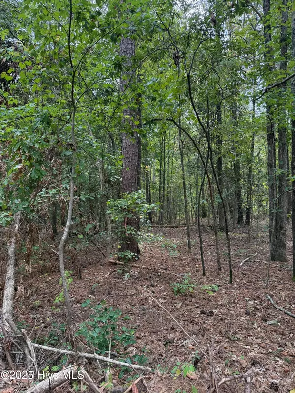 Rockingham, NC 28379,122 N State LN