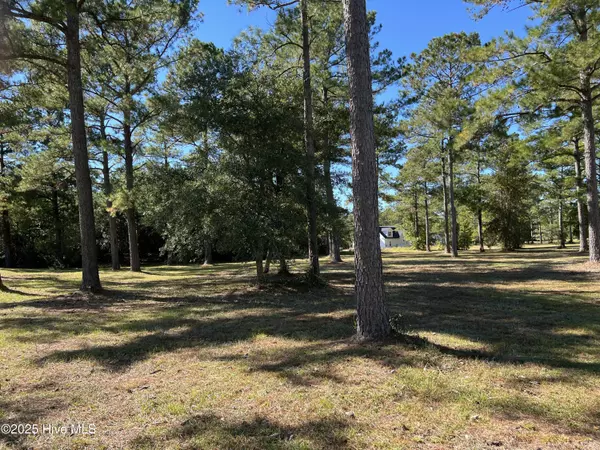 Sunset Beach, NC 28468,1061 Crosby CIR SW