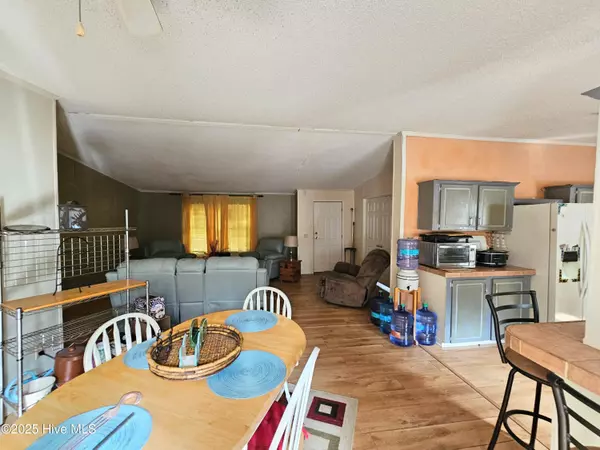 Currie, NC 28435,3425 Blueberry RD