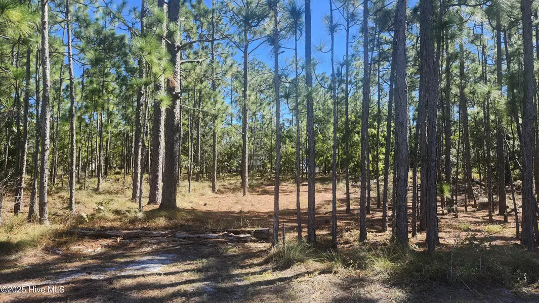 Lot 303 Mission RD, Southport, NC 28461