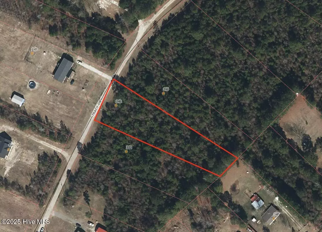 Burgaw, NC 28425,242 Tracy DR