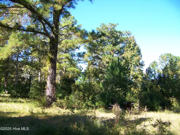 118 N Harbor DR, Beaufort, NC 28516