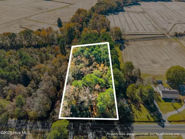 Farmville, NC 27828,3278 Moye Turnage RD