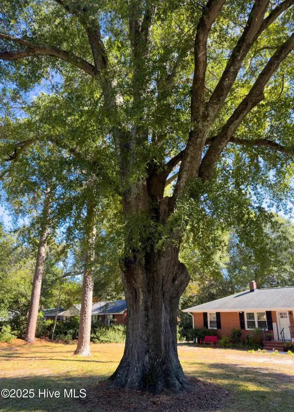 Wilmington, NC 28412,806 Midland DR