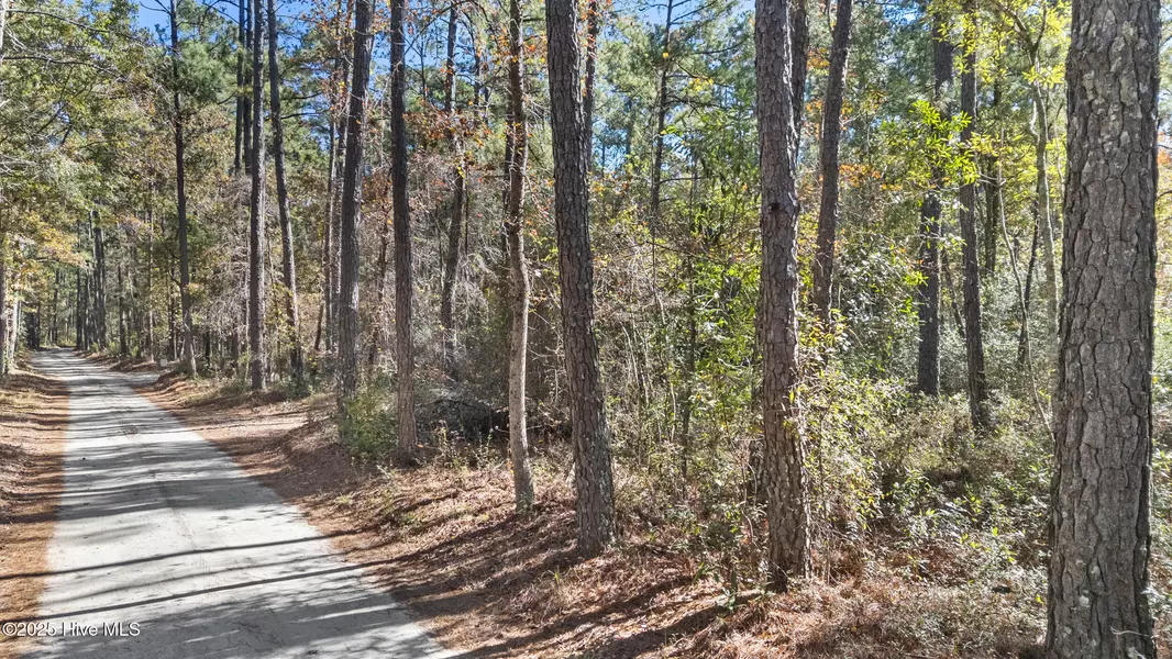 3 Lacer WAY, Currie, NC 28435