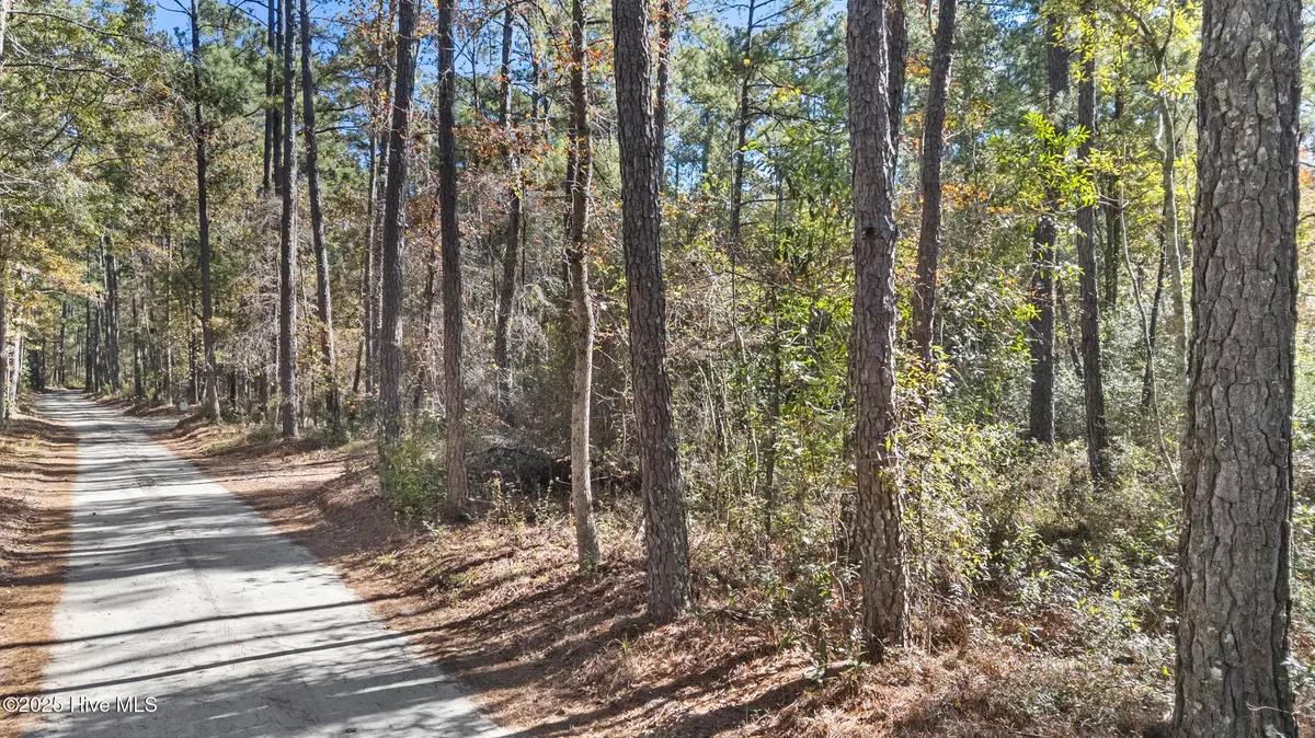 Currie, NC 28435,3 Lacer WAY