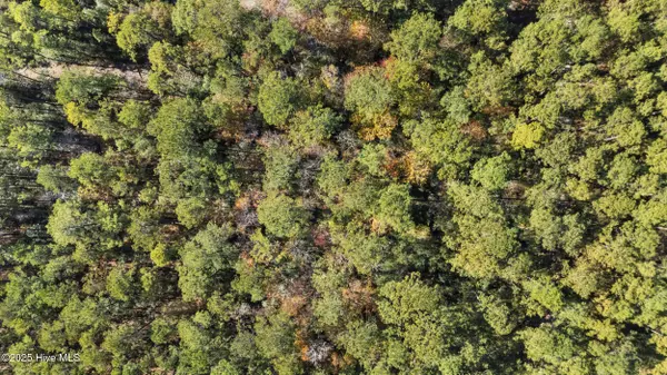 Currie, NC 28435,3 Lacer WAY