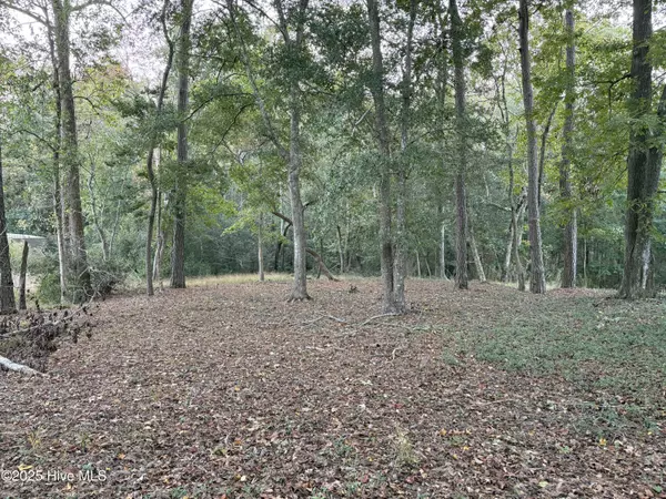 Ocean Isle Beach, NC 28469,1618 Gores Landing RD SW