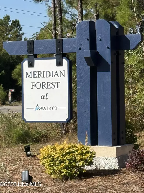 Bolivia, NC 28422,1613 Meridian Forest DR SE