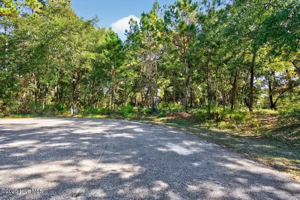 Sunset Beach, NC 28468,8943 Tranquility LN SW