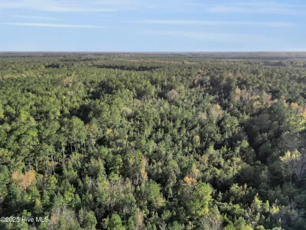 Pink Hill, NC 28572,00 E Pleasant Hill RD