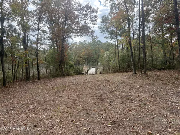 Bath, NC 27808,408 Tarpon Pointe RD