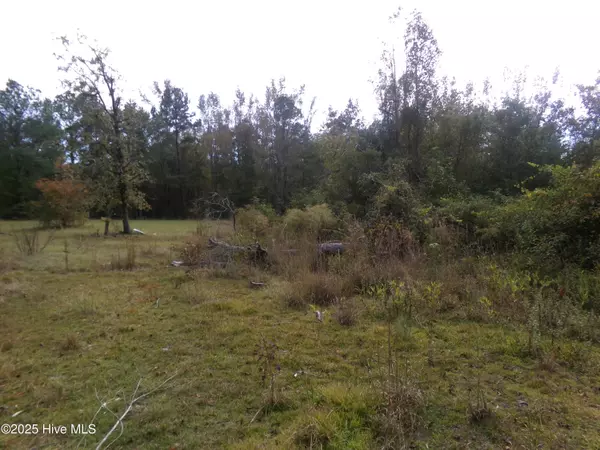 White Oak, NC 28399,Lot 44964 Big Island RD
