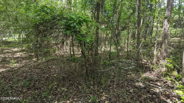 Carthage, NC 28327,308 Buggy DR W