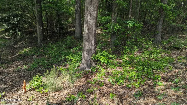 Carthage, NC 28327,308 Buggy DR W