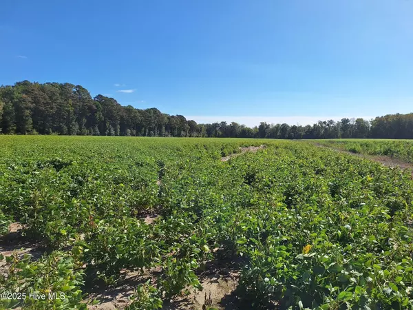 Robersonville, NC 27871,1676 Ross RD