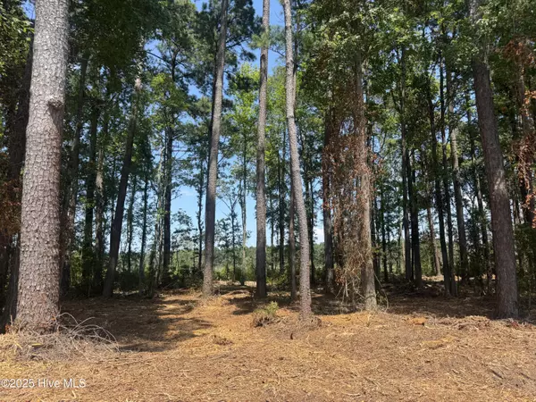 4102 Swamp Fox HWY, Tabor City, NC 28463