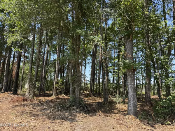 Tabor City, NC 28463,4102 Swamp Fox HWY