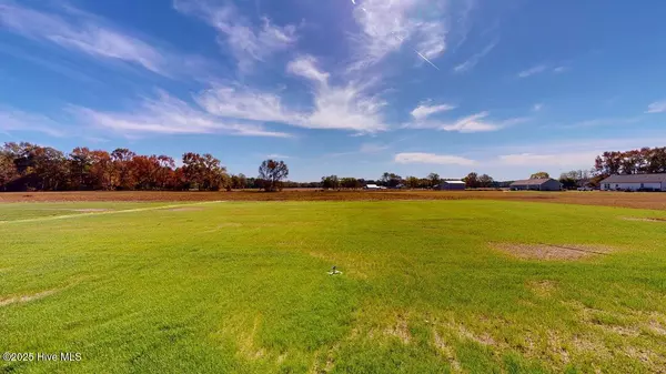 Pikeville, NC 27863,1399 Pinkney RD