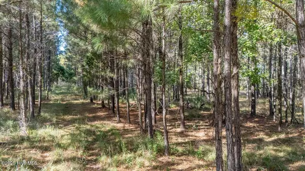 Beaufort, NC 28516,151 Garbacon DR