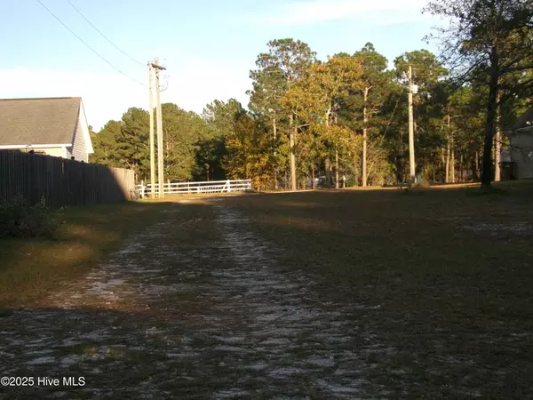 Maple Hill, NC 28454,158 Brians Woods RD