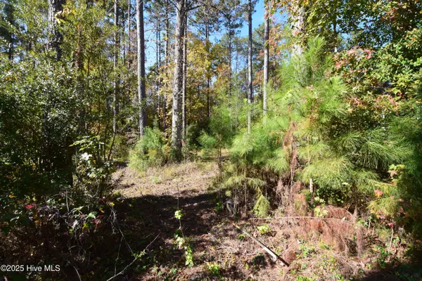 New Bern, NC 28562,1005 Alabaster DR