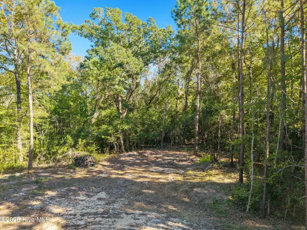 Bolivia, NC 28422,Lot 3 Midway RD SW