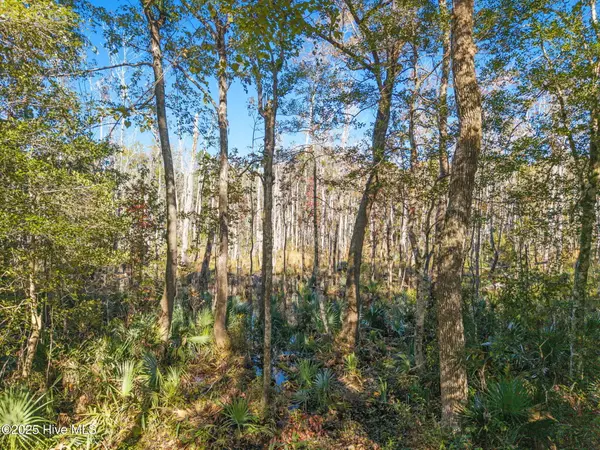 Bolivia, NC 28422,Lot 4 Midway RD SE