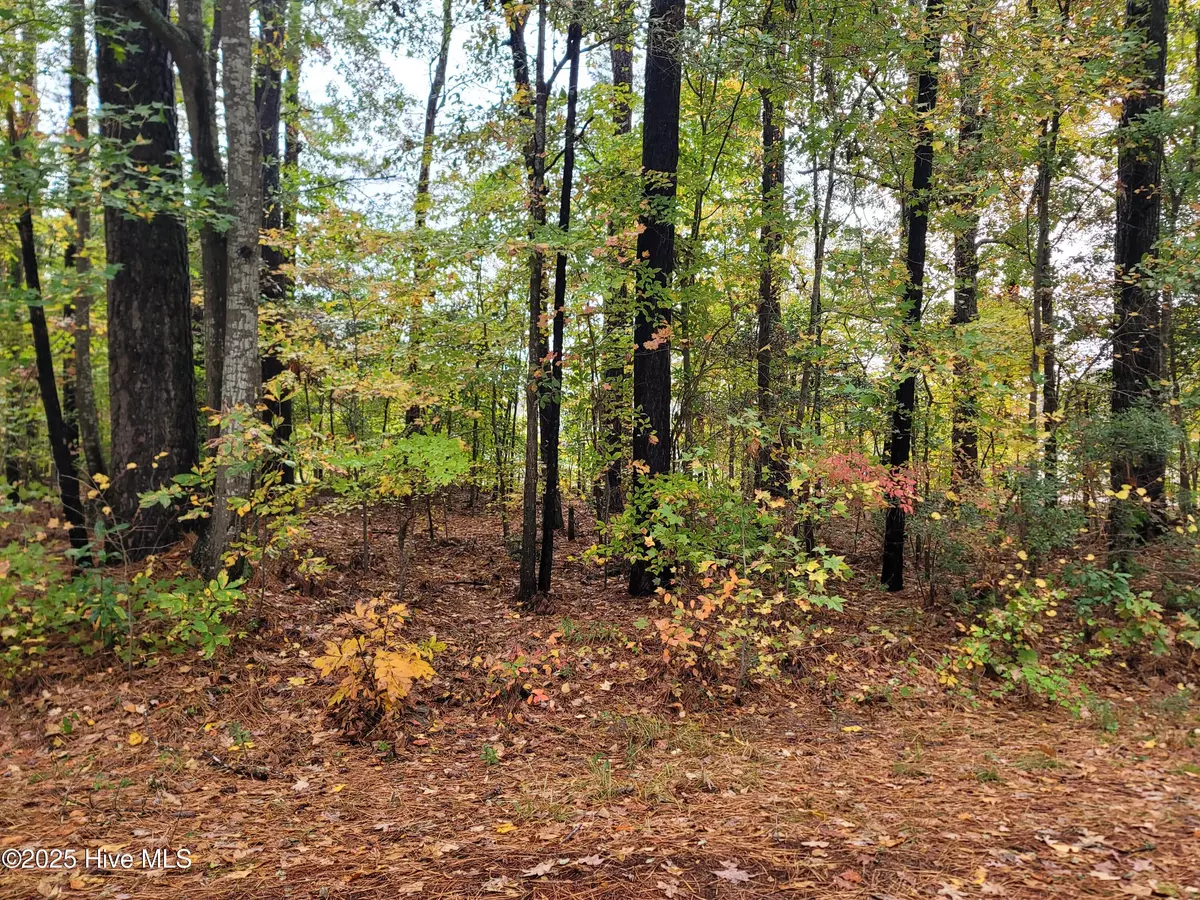 Elizabeth City, NC 27909,Lot #17 Dogwood TRL